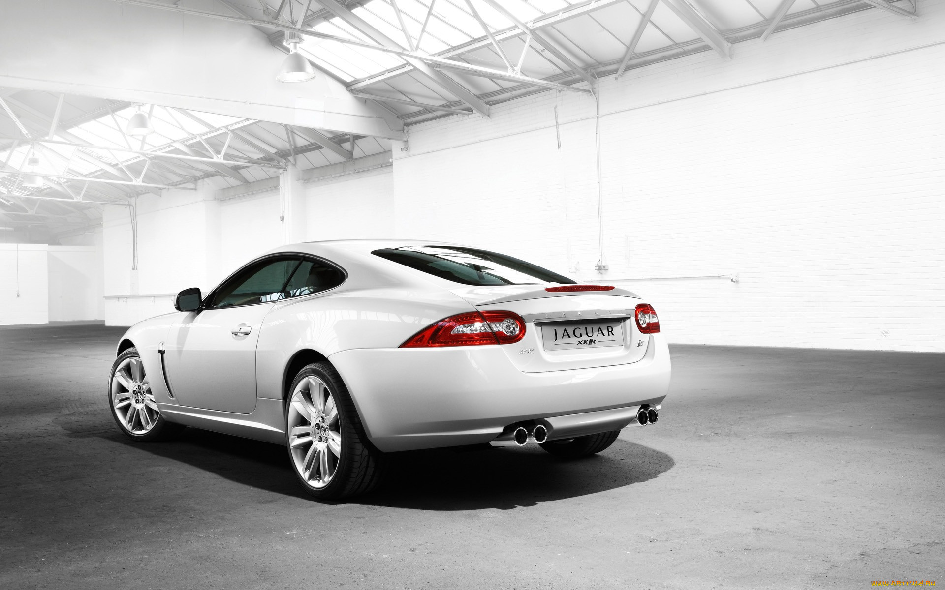 , jaguar